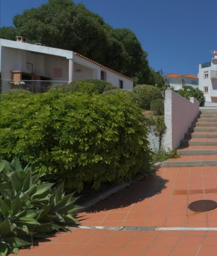 CarvoeiraGranny'S House By Trip2Portugal公寓 外观 照片